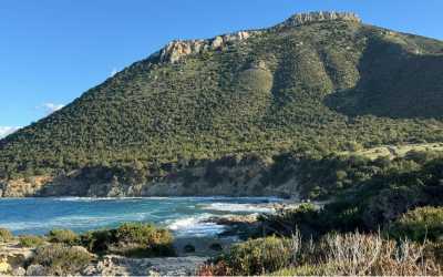 Wycieczka fakultatywna, Wycieczka Marathon Jeep Safari - Narodowy Park Akamas z Ayia Napa