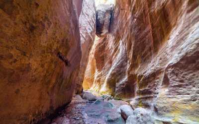 Wycieczka fakultatywna, Wycieczka na plażę Lara Beach i kanion Avakas z Pafos