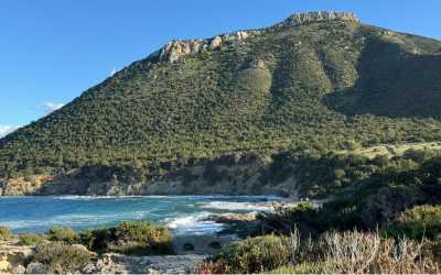 Wycieczka fakultatywna, Marathon [41] Jeep Safari - Narodowy Park Akamas z Cypru Północnego